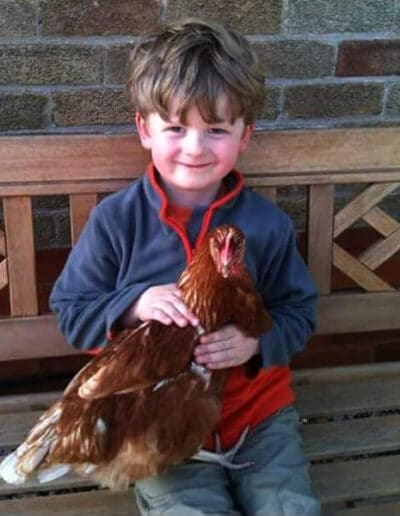 hen rehoming